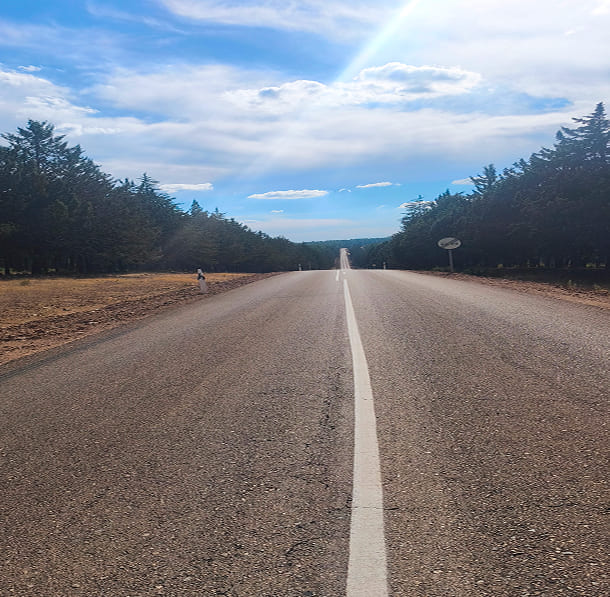 diseñamos-tu-ruta-personalizada