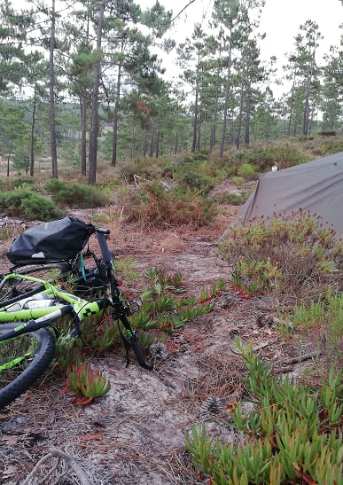 NóMADA BIKES EXPLORA LA NATURALEZA SOBRE DOS RUEDAS