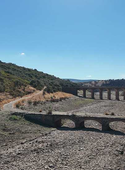 NóMADA BIKES EXPLORA LA NATURALEZA SOBRE DOS RUEDAS